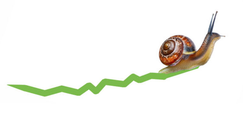 Slower growth rate of e-commerce due to policy hurdles
