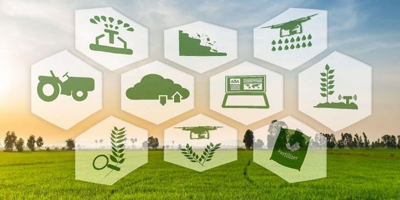 Can the government promote agricultural produce with exclusive online portals?