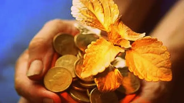 Online retail market soon to be valued at $70 billion