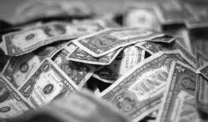 Indian ecommerce – current toast of investors!