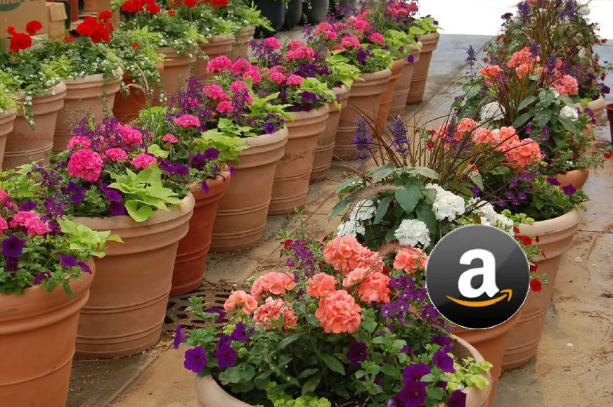 Amazon’s online live plant market blossoming rapidly; lawn and garden category growing 10 fold