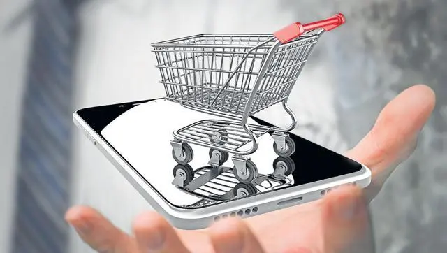 Etailers need a year to comply with FDI norms- Financial Experts