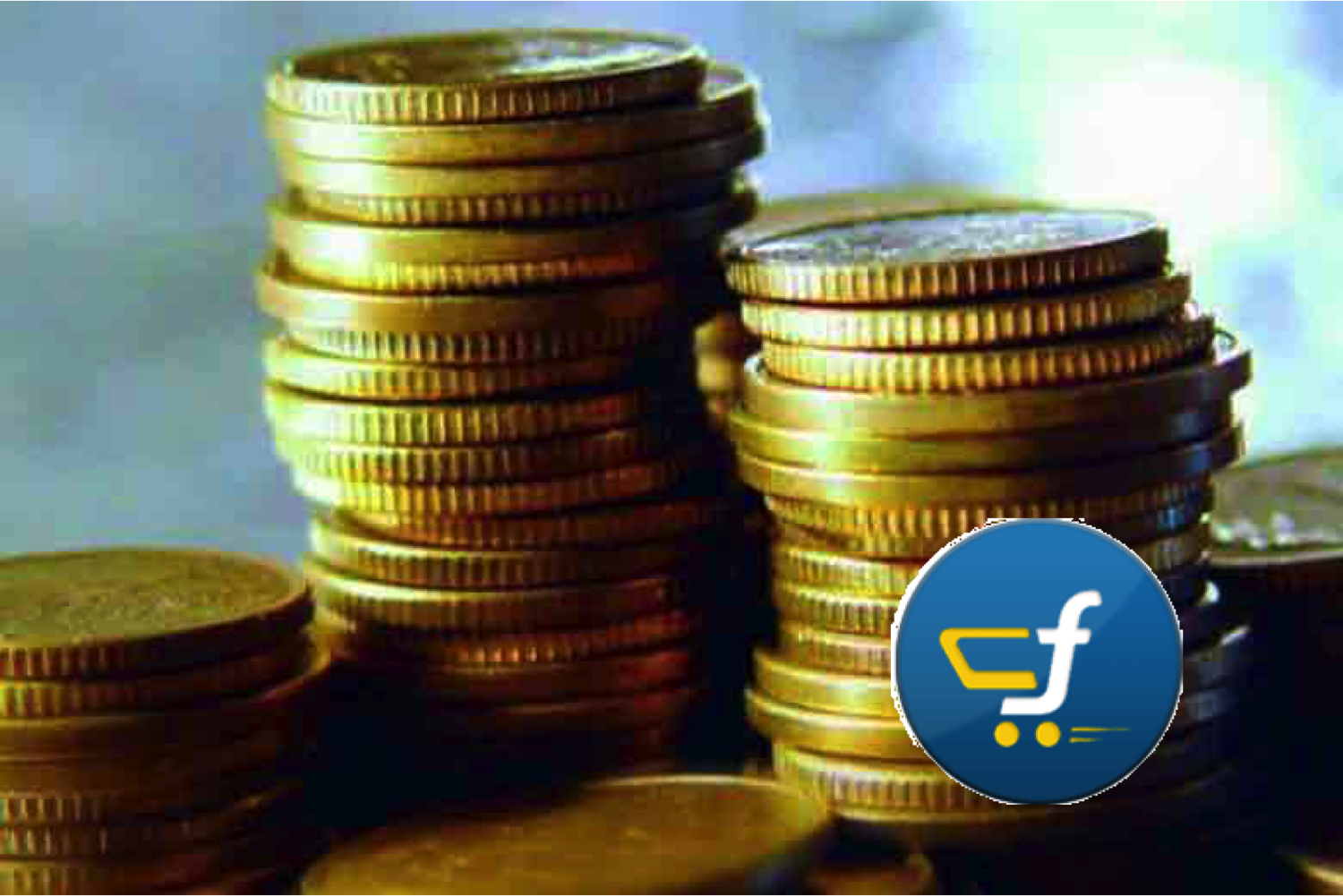 Flipkart to reduce burn rate by 50% to reach sustainable profitability