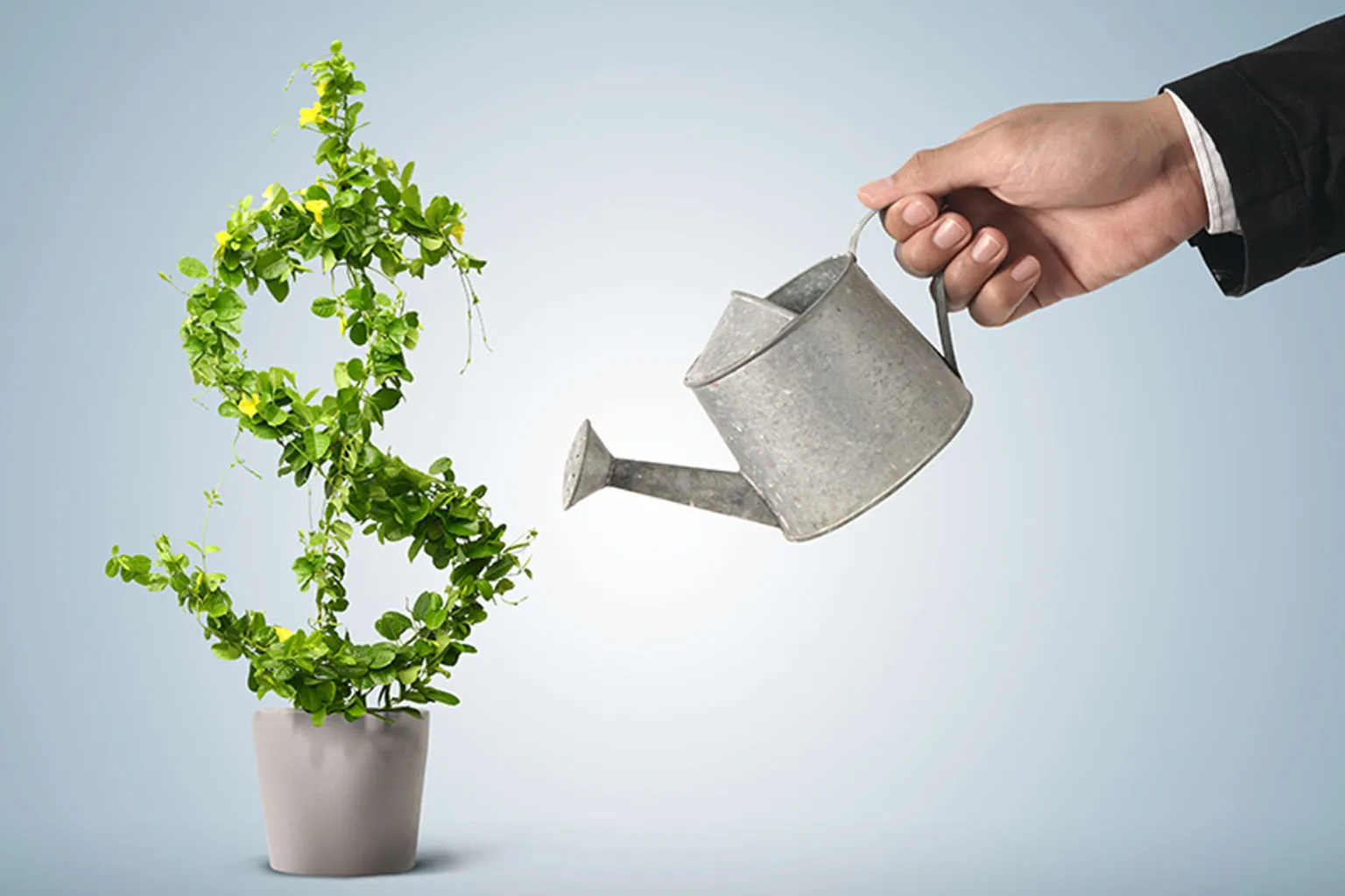 Jabong, Shopclues do well; possibility of turning profitable high
