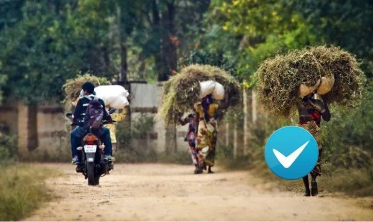 A yo-yoing Shopclues shifts focus back to rural markets