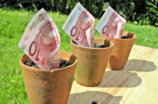 Despite frequent devaluations & hesitant investors, smaller ecommerce companies doing better at raising funds