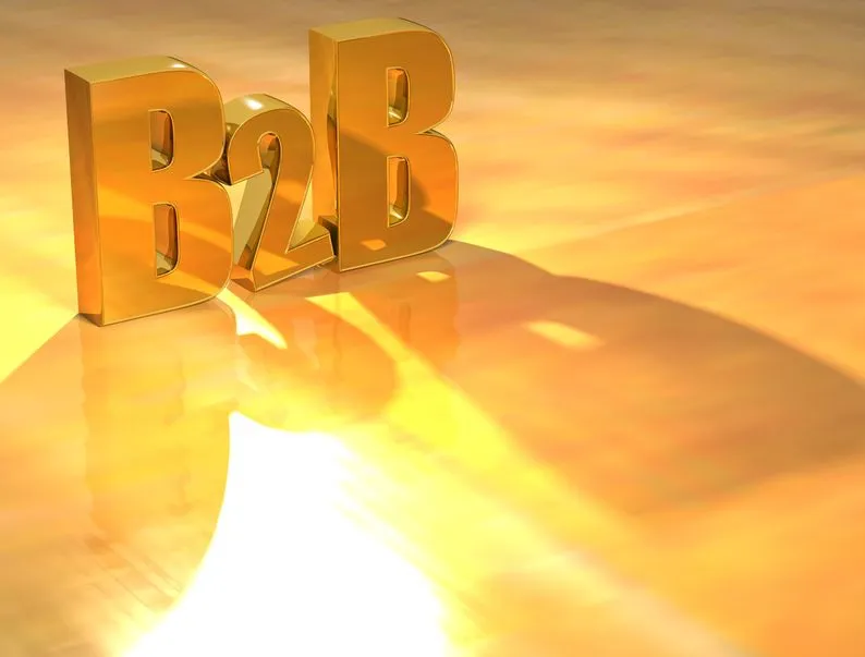 B2B ecommerce appeal to investors while B2C companies struggle for funding