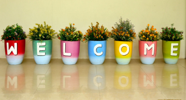 How can your Online Customers be wooed into coming back & purchasing more?