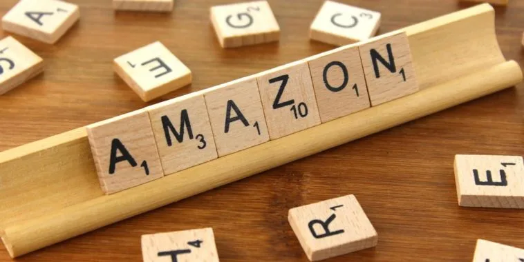 Amazon sellers deprived with focus on customers? Meanwhile, etailer investment in India $600mn since January
