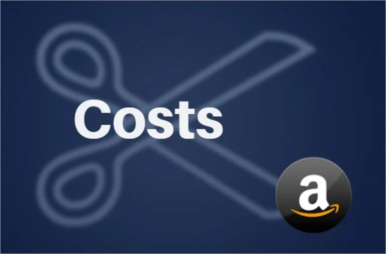 Amazon to get economically fit by cutting costs; how would it become No 1?