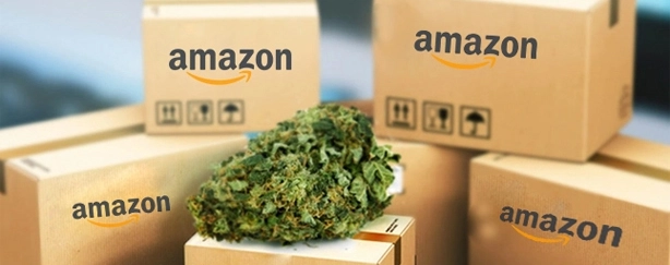 Amazon MP Executive Directors Booked Under NDPS Act In Cannabis Racket
