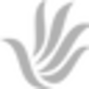 Brahma Design