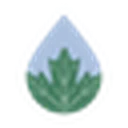 Clean Maple