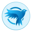 Creative Bird