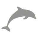 Dolphin Ps