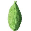 Emperor