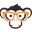 Geek Monkey