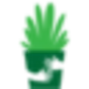 Hug A Plant