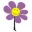 PHOOL