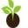 Seedballs
