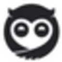 Sleepy Owl