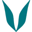 Vaya