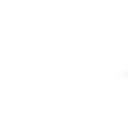 Vector X