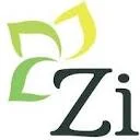 Zishta